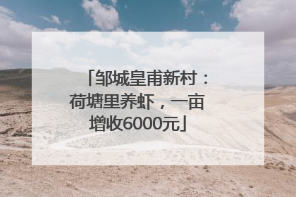 邹城皇甫新村：荷塘里养虾，一亩增收6000元