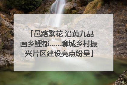 邑路繁花 沿黄九品 画乡鲤都……聊城乡村振兴片区建设亮点纷呈