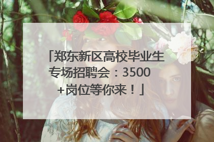 郑东新区高校毕业生专场招聘会：3500+岗位等你来！