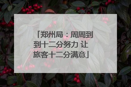 郑州局：周周到到十二分努力 让旅客十二分满意
