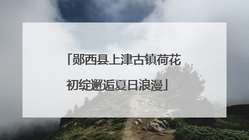郧西县上津古镇荷花初绽邂逅夏日浪漫