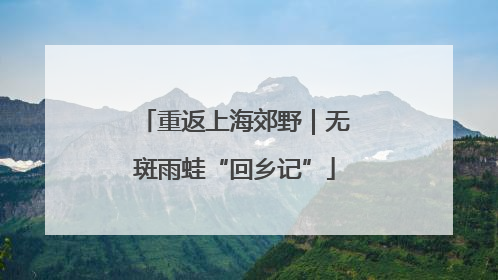 重返上海郊野｜无斑雨蛙“回乡记”