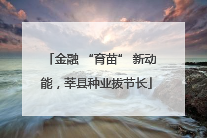 金融 “育苗” 新动能，莘县种业拔节长