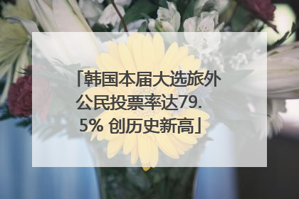 韩国本届大选旅外公民投票率达79.5% 创历史新高