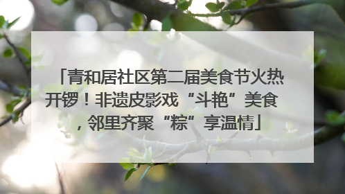 青和居社区第二届美食节火热开锣！非遗皮影戏“斗艳”美食，邻里齐聚“粽”享温情
