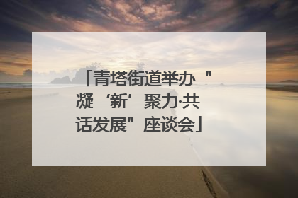 青塔街道举办“凝‘新’聚力·共话发展”座谈会