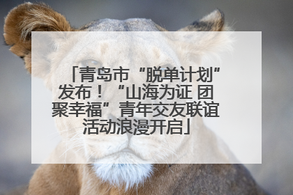 青岛市“脱单计划”发布！“山海为证 团聚幸福”青年交友联谊活动浪漫开启