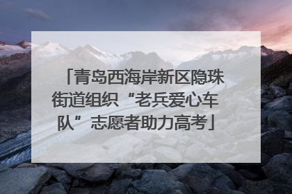 青岛西海岸新区隐珠街道组织“老兵爱心车队”志愿者助力高考