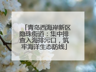 青岛西海岸新区隐珠街道：集中排查入海排污口，筑牢海洋生态防线