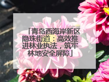 青岛西海岸新区隐珠街道：高效推进林业执法，筑牢林地安全屏障