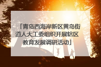 青岛西海岸新区黄岛街道人大工委组织开展辖区教育发展调研活动