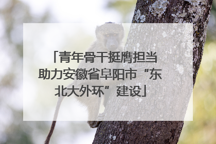 青年骨干挺膺担当 助力安徽省阜阳市“东北大外环”建设
