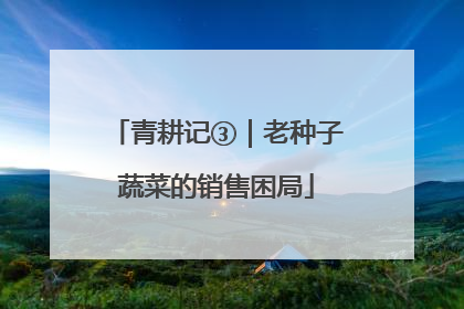青耕记③｜老种子蔬菜的销售困局