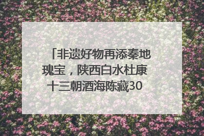 非遗好物再添秦地瑰宝，陕西白水杜康十三朝酒海陈藏30年别具一格
