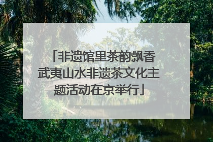 非遗馆里茶韵飘香 武夷山水非遗茶文化主题活动在京举行