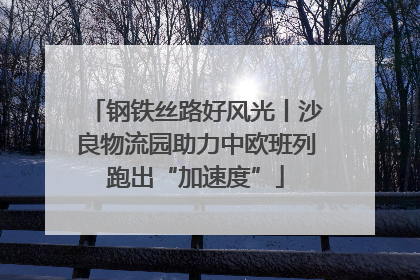 钢铁丝路好风光丨沙良物流园助力中欧班列跑出“加速度”