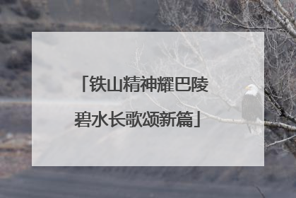 铁山精神耀巴陵 碧水长歌颂新篇