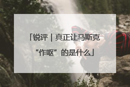 锐评｜真正让马斯克“作呕”的是什么