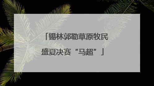 锡林郭勒草原牧民盛夏决赛“马超”