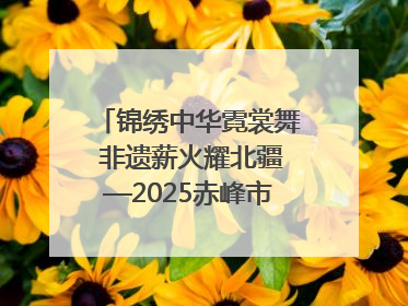 锦绣中华霓裳舞 非遗薪火耀北疆—2025赤峰市“文化和自然遗产日”非遗宣传展示活动纪实