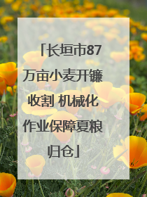 长垣市87万亩小麦开镰收割 机械化作业保障夏粮归仓