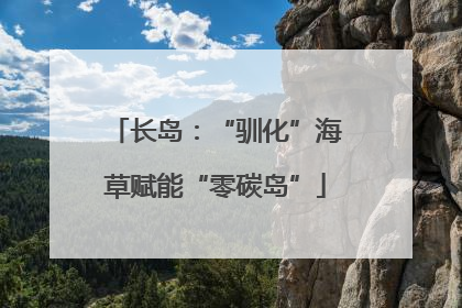 长岛：“驯化”海草赋能“零碳岛”