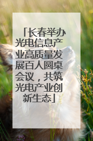 长春举办光电信息产业高质量发展百人圆桌会议，共筑光电产业创新生态