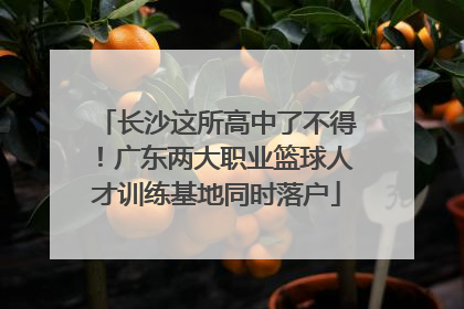 长沙这所高中了不得！广东两大职业篮球人才训练基地同时落户