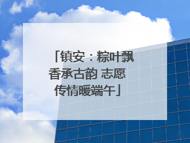 镇安：粽叶飘香承古韵 志愿传情暖端午