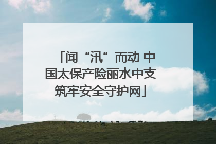 闻“汛”而动 中国太保产险丽水中支筑牢安全守护网
