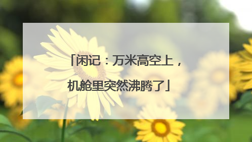 闲记：万米高空上，机舱里突然沸腾了