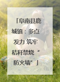 阜南县鹿城镇：多点发力 筑牢秸秆禁烧“防火墙”