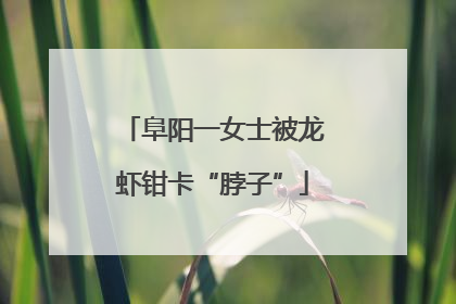 阜阳一女士被龙虾钳卡“脖子”