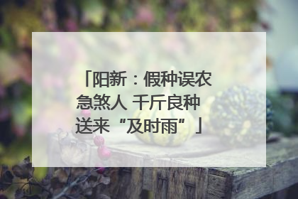 阳新：假种误农急煞人 千斤良种送来“及时雨”