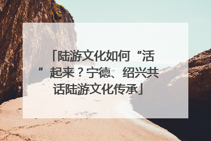 陆游文化如何“活 ”起来？宁德、绍兴共话陆游文化传承