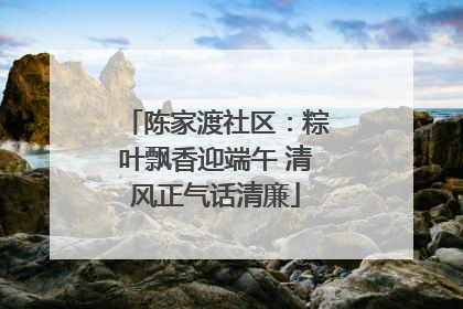 陈家渡社区：粽叶飘香迎端午 清风正气话清廉
