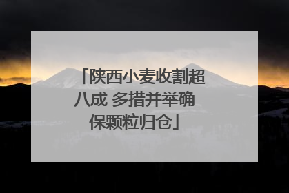 陕西小麦收割超八成 多措并举确保颗粒归仓