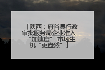 陕西：府谷县行政审批服务局企业准入“加速度” 市场生机“更盎然”