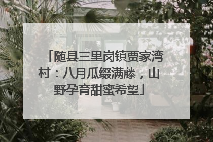 随县三里岗镇贾家湾村：八月瓜缀满藤，山野孕育甜蜜希望