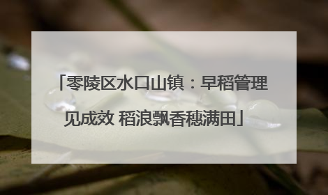 零陵区水口山镇：早稻管理见成效 稻浪飘香穗满田
