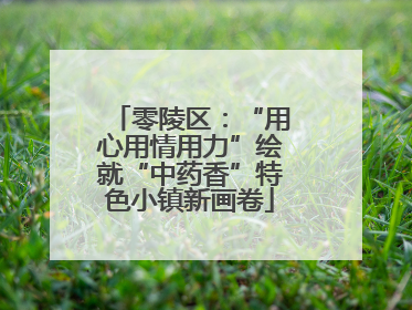 零陵区：“用心用情用力”绘就“中药香”特色小镇新画卷