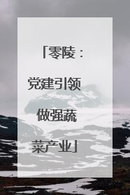 零陵：党建引领 做强蔬菜产业