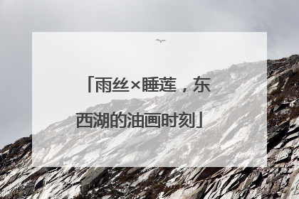 雨丝×睡莲，东西湖的油画时刻