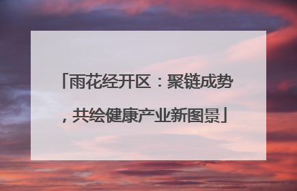 雨花经开区：聚链成势，共绘健康产业新图景
