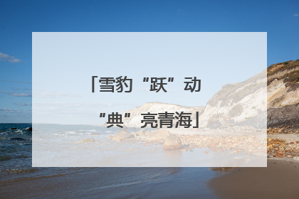 雪豹“跃”动 “典”亮青海