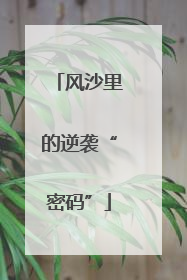 风沙里的逆袭“密码”