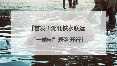 首发！湖北铁水联运“一单制”班列开行