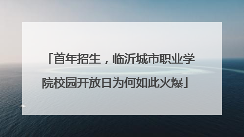 首年招生，临沂城市职业学院校园开放日为何如此火爆