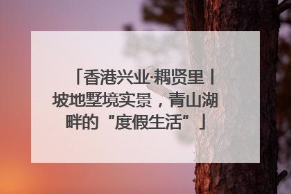 香港兴业·耦贤里丨坡地墅境实景，青山湖畔的“度假生活”