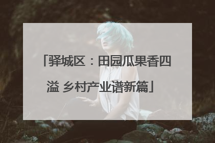驿城区：田园瓜果香四溢 乡村产业谱新篇
